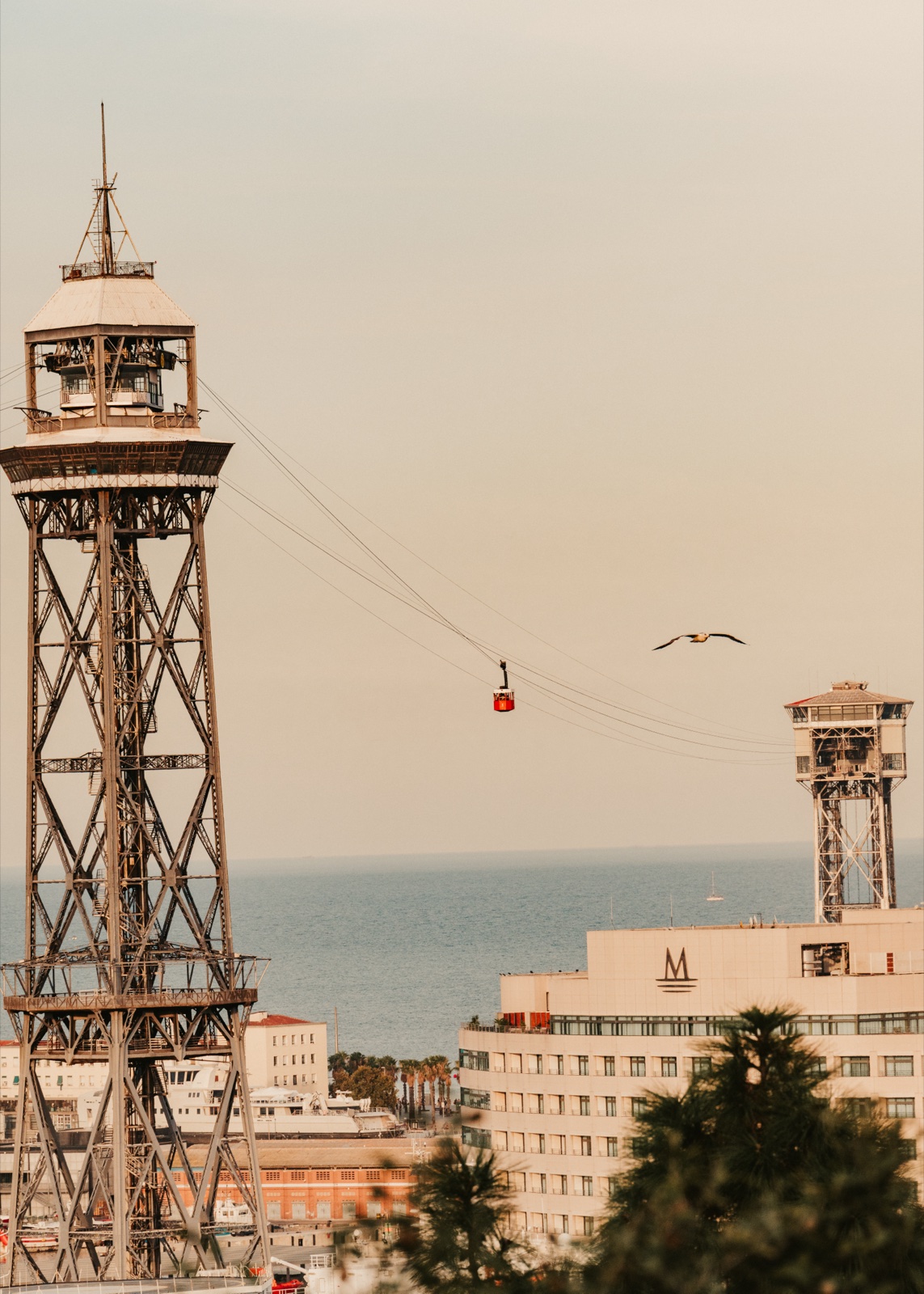 The cable car between its towers, with a gull and the sea beyond