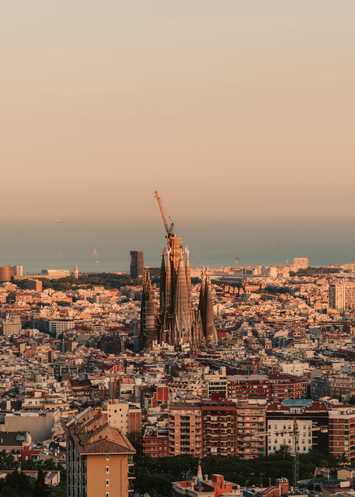 The Sagrada Família, with a crane above its towers, rising over Barcelona’s rooftops in evening light, with the sea beyond