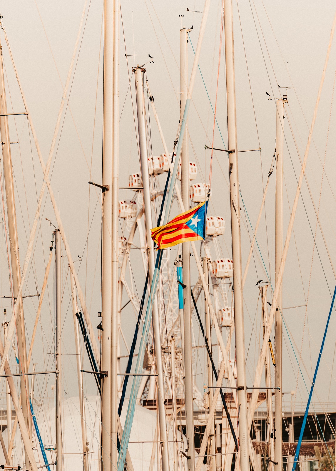 A Catalan flag flying among the masts of sailing boats, with a Ferris wheel behind